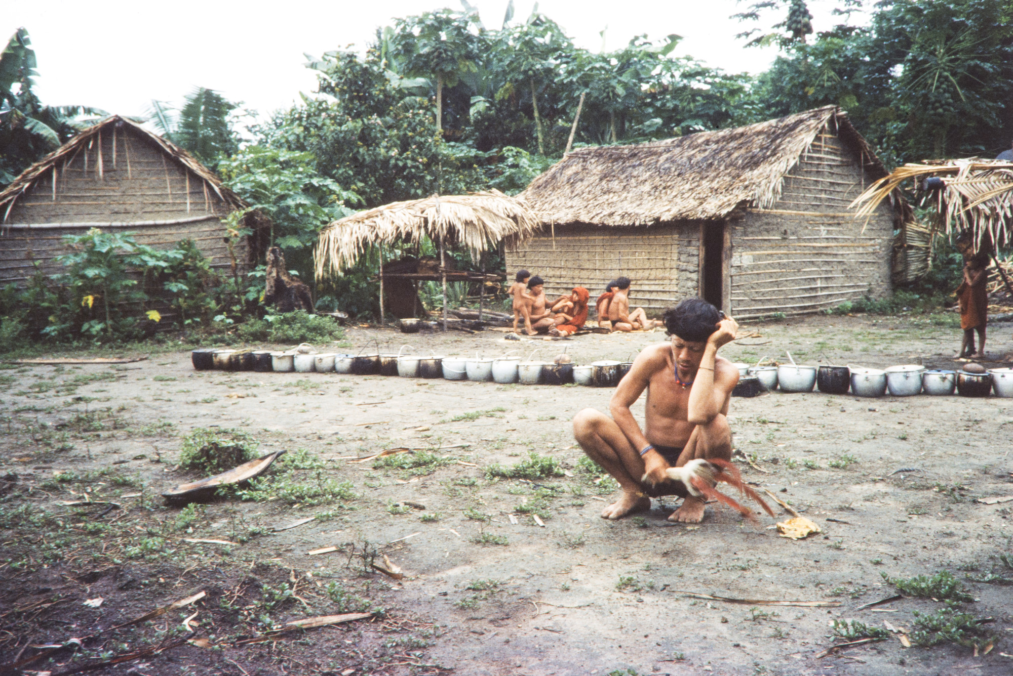 Araweté com o aray, chocalho usado pelos homens adultos para pequenas curas, cantos noturnos e rituais xamânicos geralmente acompanhados pelo charuto "comedores de fumo", Terra Indígena Araweté/Igarapé Ipixuna, Pará @Eduardo Viveiros de Castro