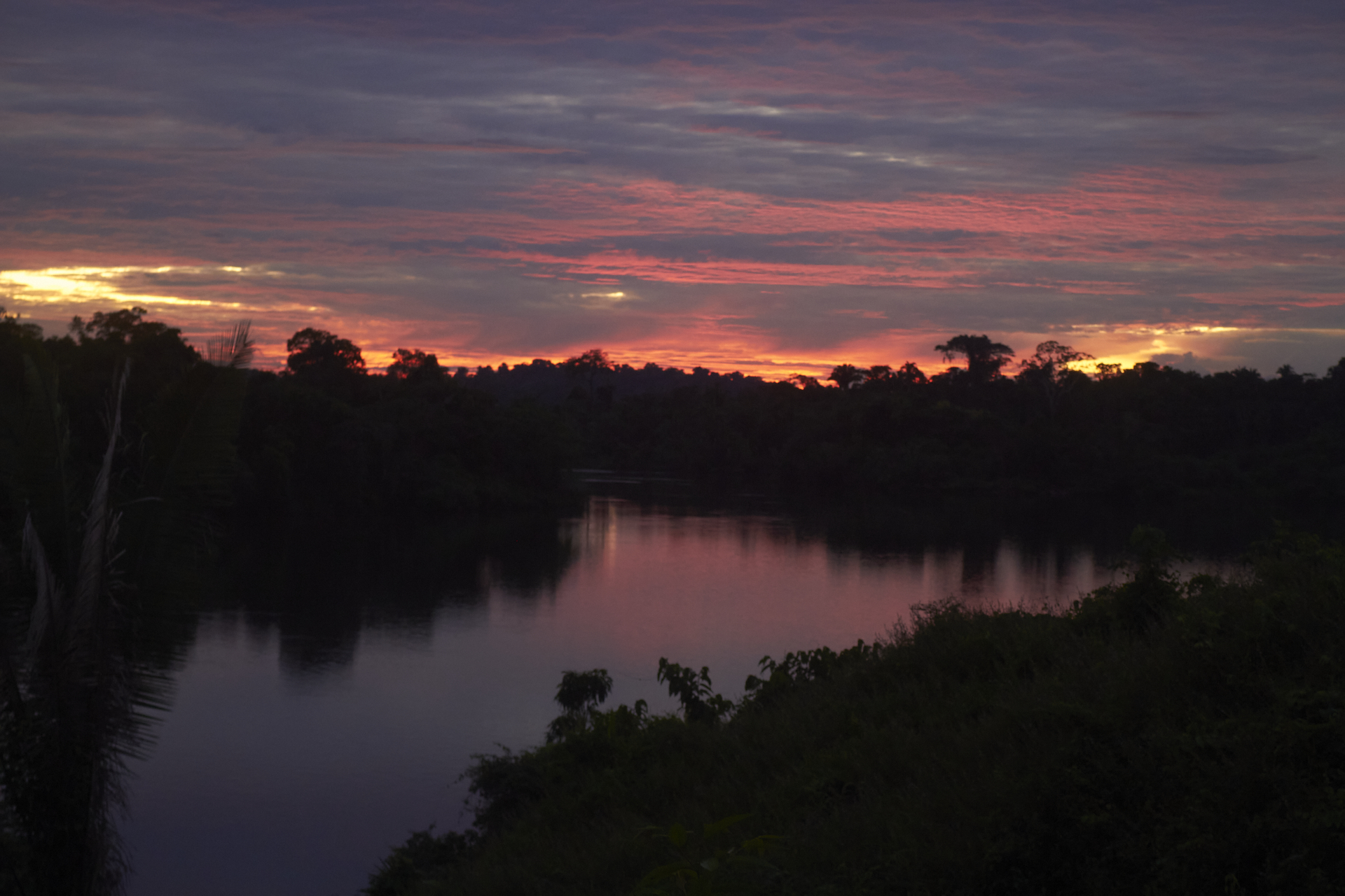 Paisagem na Reserva Extrativista Riozinho do Anfrísio|Soll Sousa/SUMAÚMA