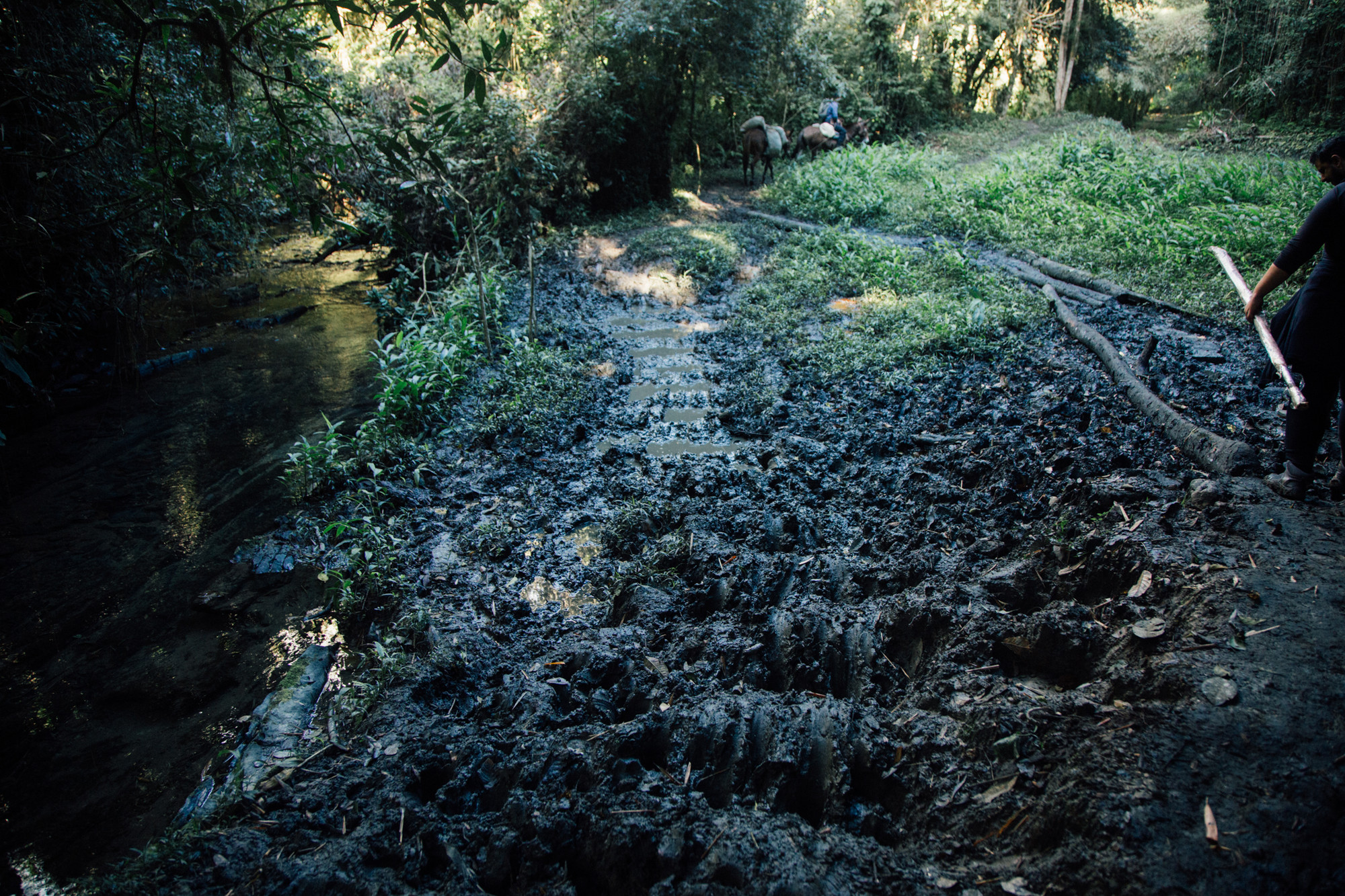 📸 Júlio César Almeida