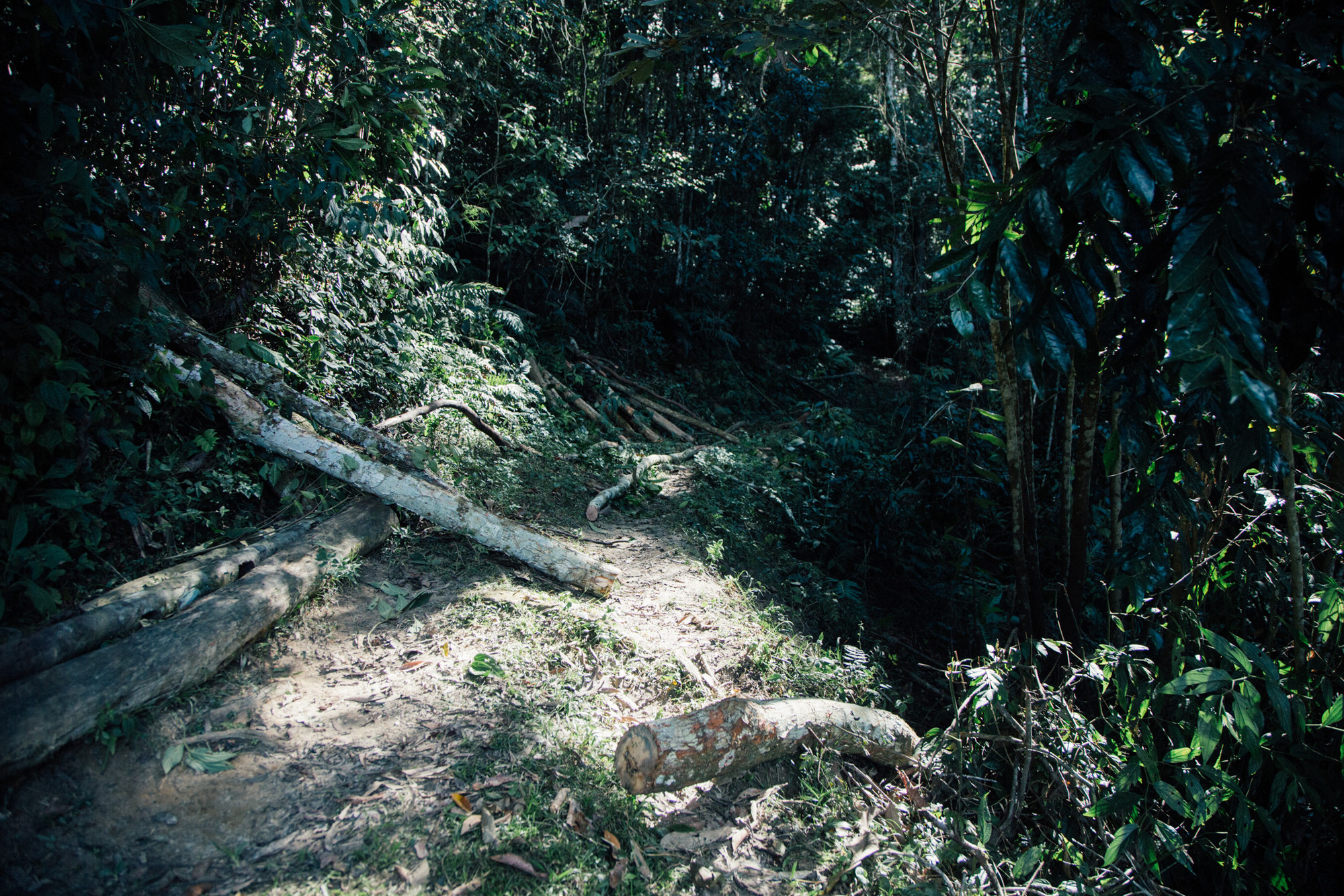 📸 Júlio César Almeida
