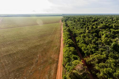 Imagem mostra área desmatada para plantação de soja, próximo à Aldeia Ngôjwêrê, do povo Khisêtjê, localizada no Parque Indígena do Xingu, no estado do Mato Grosso