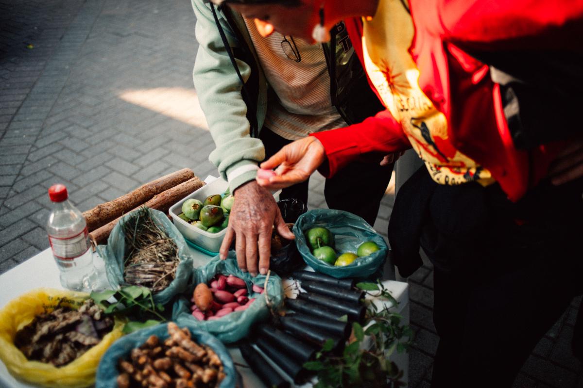feira dos quilombolas do ribeira