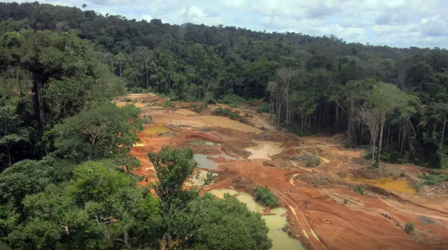 Terra Indígena Roosevel (RO), do povo Cinta Larga, onde ocorre exploração ilegal de diamantes | PF