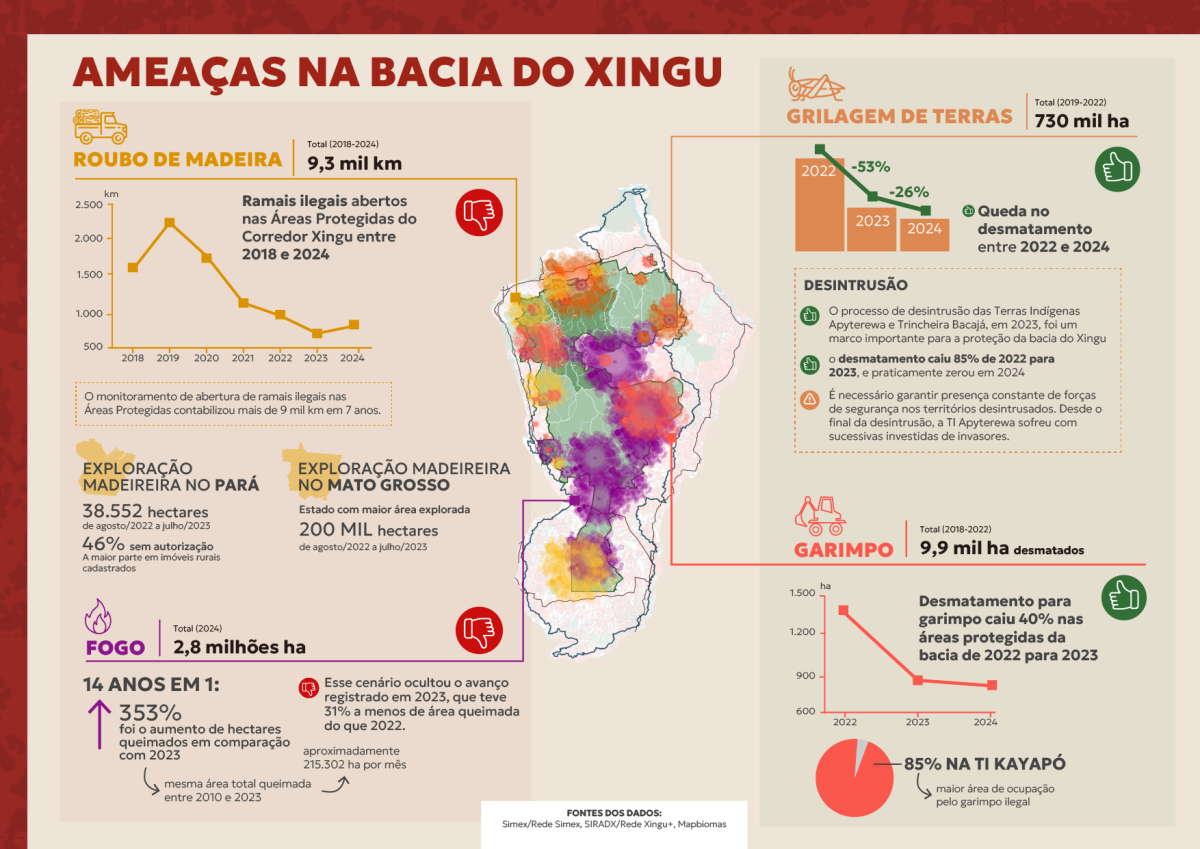 infográfico