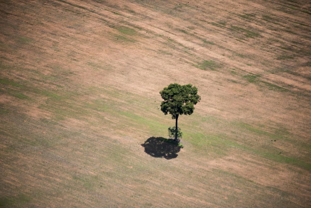 Projeto vai provocar desmatamento se for aprovado. Fazenda em Mato Grosso | André Villas-Bôas / ISA