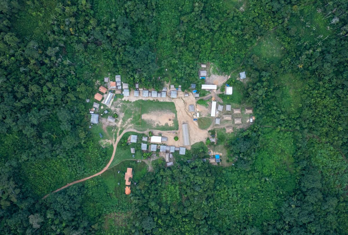 Imagem aérea mostra parte da Terra do Meio, entre a floresta densa e verde