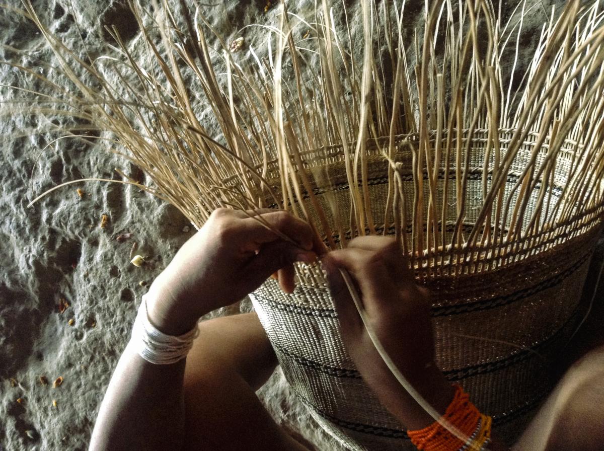 Confecção de cestaria Yanomami. 