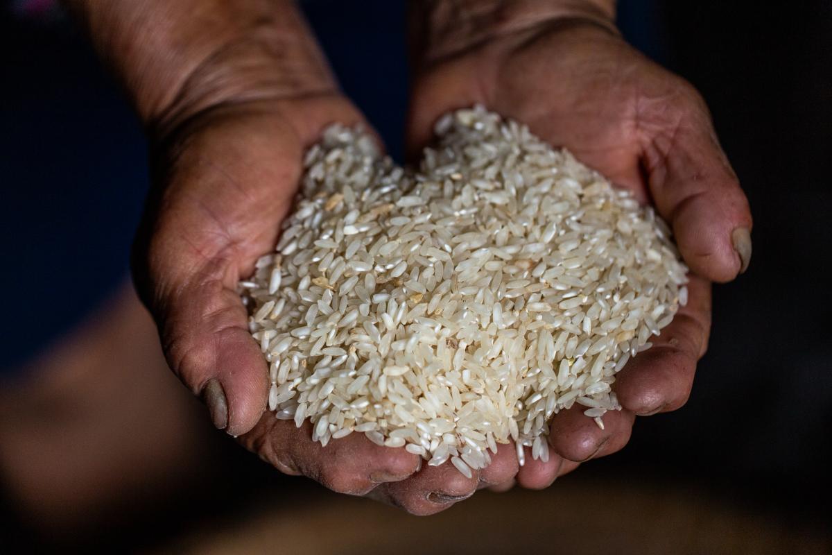 Foto mostra mão segurando arroz