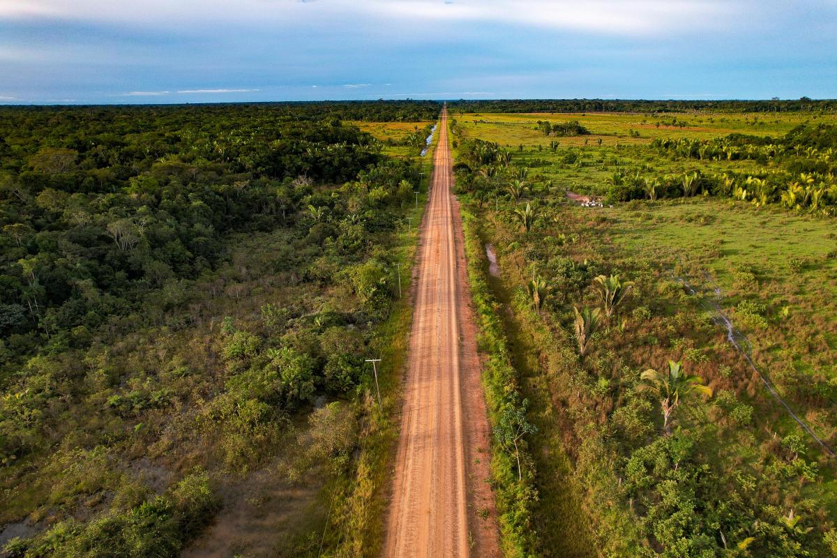 A pavimentação da BR-319 (Manaus-Porto Velho) pode ser uma das obras que será beneficiada com a Licença Ambiental Especial (LAE). Pesquisas comprovam que esse tipo de empreendimento induz o desmatamento na Amazônia | Alberto Araújo / Amazônia Real