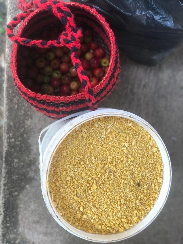 Entrega de alimentos para o Programa Nacional de Alimentação Escolar (PNAE)