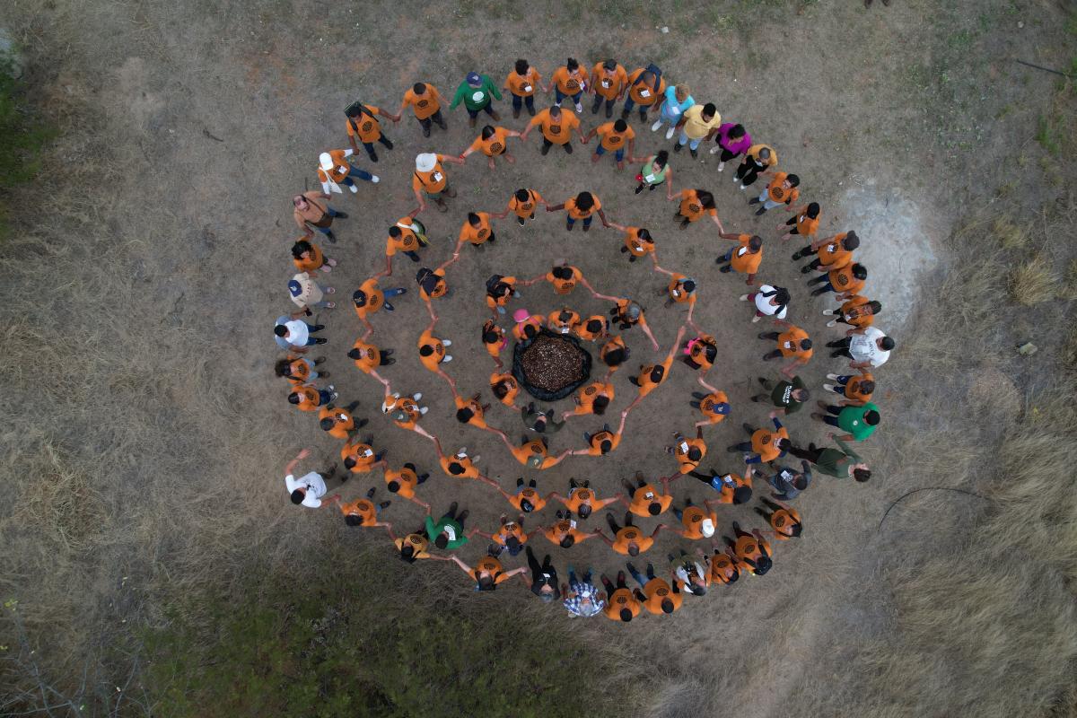 A restauração ecológica, por meio do plantio da muvuca, é uma estratégia importante de mitigação e adaptação climática
