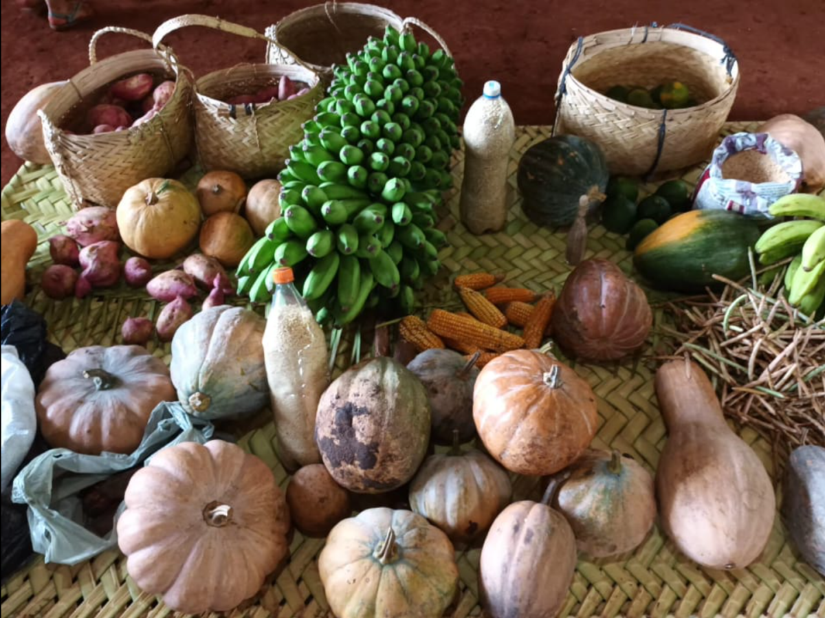 Alimentos do povo Xerente vendidos para suas escolas