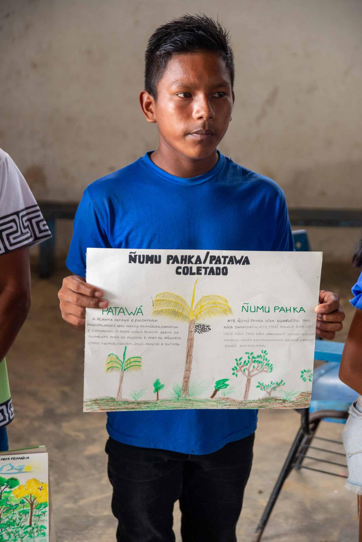 Apresentação dos desenhos na oficina de capoeiras, com destaque para a categoria de plantas coletadas (amarelo)