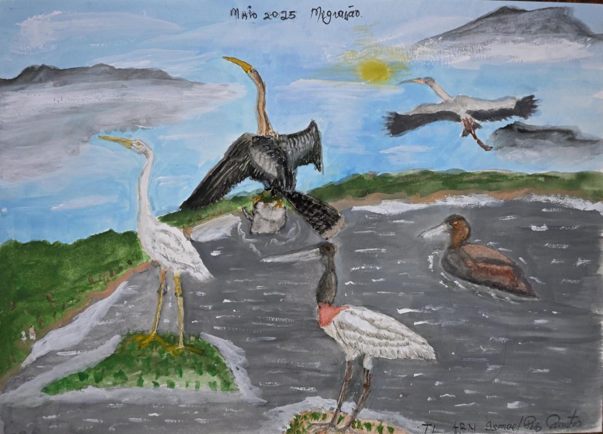 Ilustração sobre a migração de aves observado por Ismael dos Santos, AIMA 