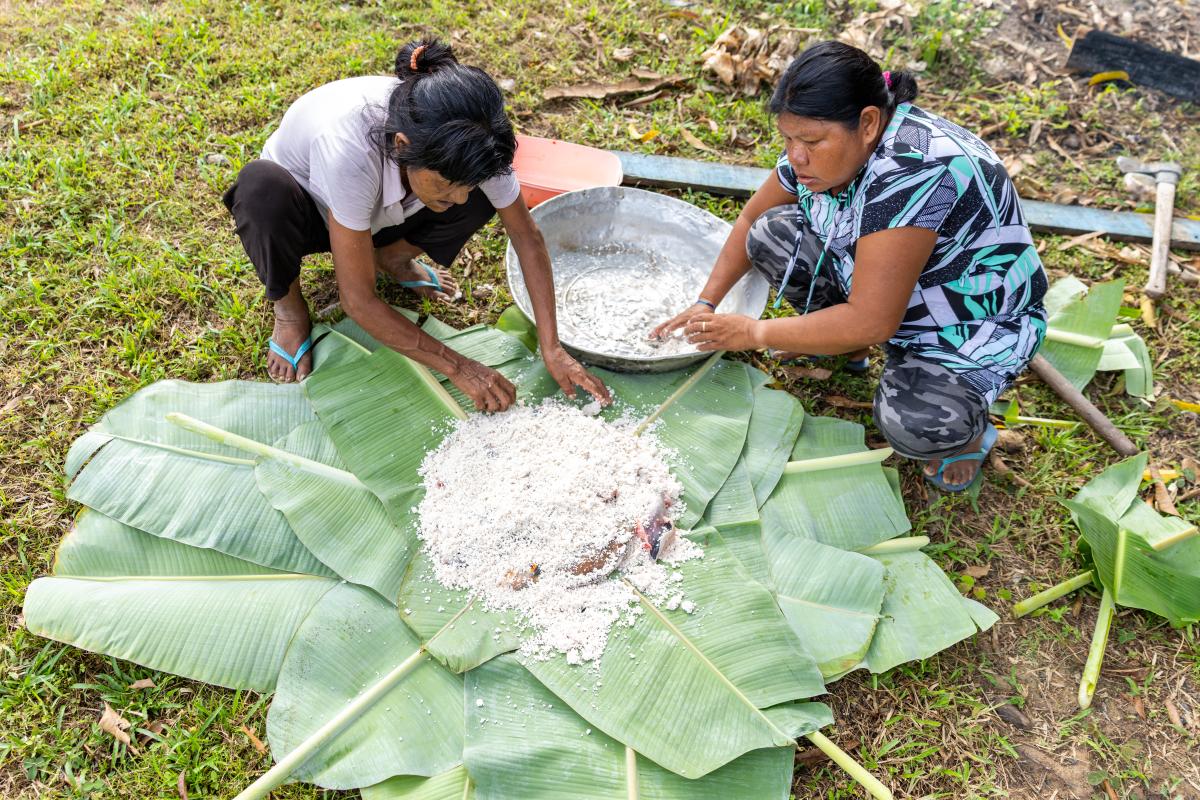 Nhangri Kayapó e Piekayê Kayapó preparam o Berarubu em aldeia na Terra do Meio (PA). Adequação da norma possibilita entrega do preparo nas escolas do território